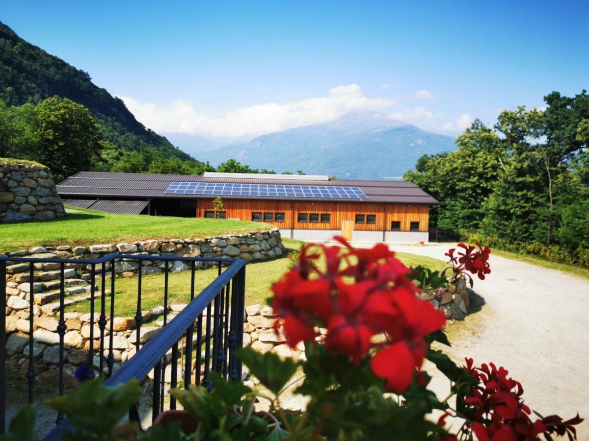 Agriturismo La Ca' D'Amelio Lessolo Ngoại thất bức ảnh